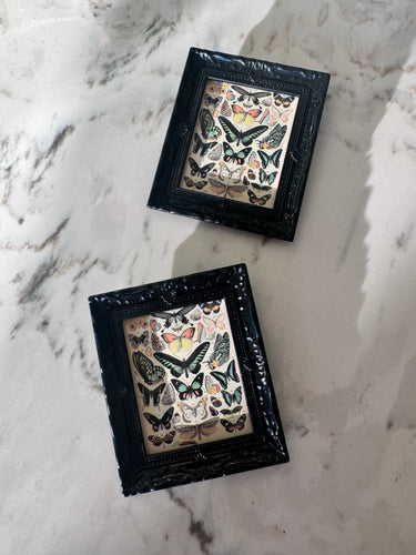 Framed butterfly art fridge magnets